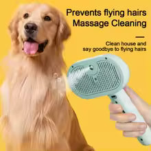 Steam brush for pets